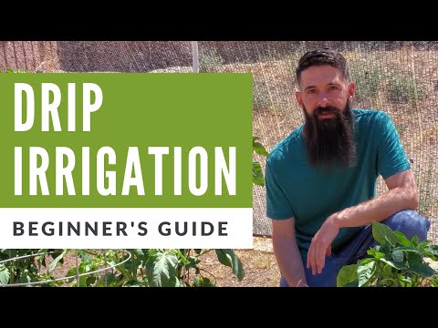 Installing Drip Irrigation in Vegetable Garden | A Beginners Guide to Drip Irrigation