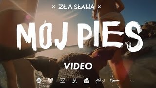 Teledysk: Flint - Mój pies (prod. Luxon)