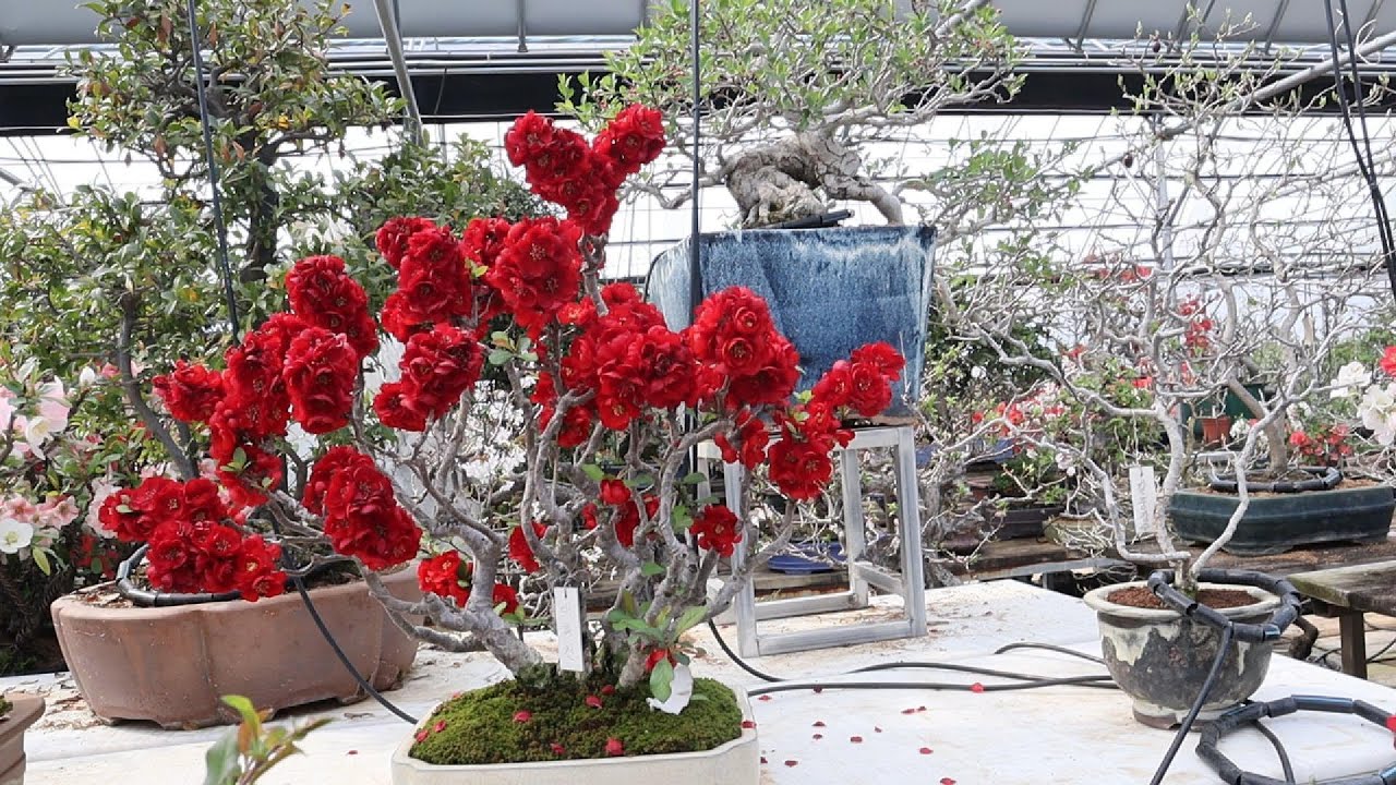 내평생 처음으로 이렇케 화려한 꽃들을 보다니?