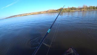 видео: вот это раздача 🎣🐋📽️💥Цимлянской судак осенью стал на точку и понеслось #рыбалка #дон #fishing #рыба  картинка: вот это раздача 🎣🐋📽️💥Цимлянской судак осенью стал на точку и понеслось #рыбалка #дон #fishing #рыба