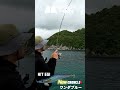 エギング #fishing