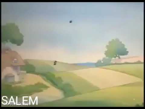 حاسب دين ام الطوبه