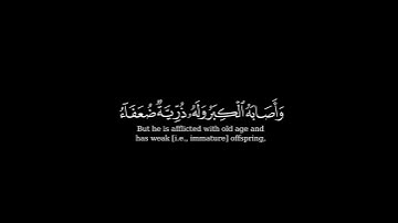 كرومة شاشة سوداء بصوت  الشيخ#محمد_البارقي #سورة_البقرة