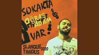 Oğraş Adam (feat. Araz Slangue) - Timidus