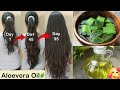 ALOE VERA OIL : बालों को दोगुना तेजी से लम्बा बनाए, Homemade Aloevera Oil for Hair Growth