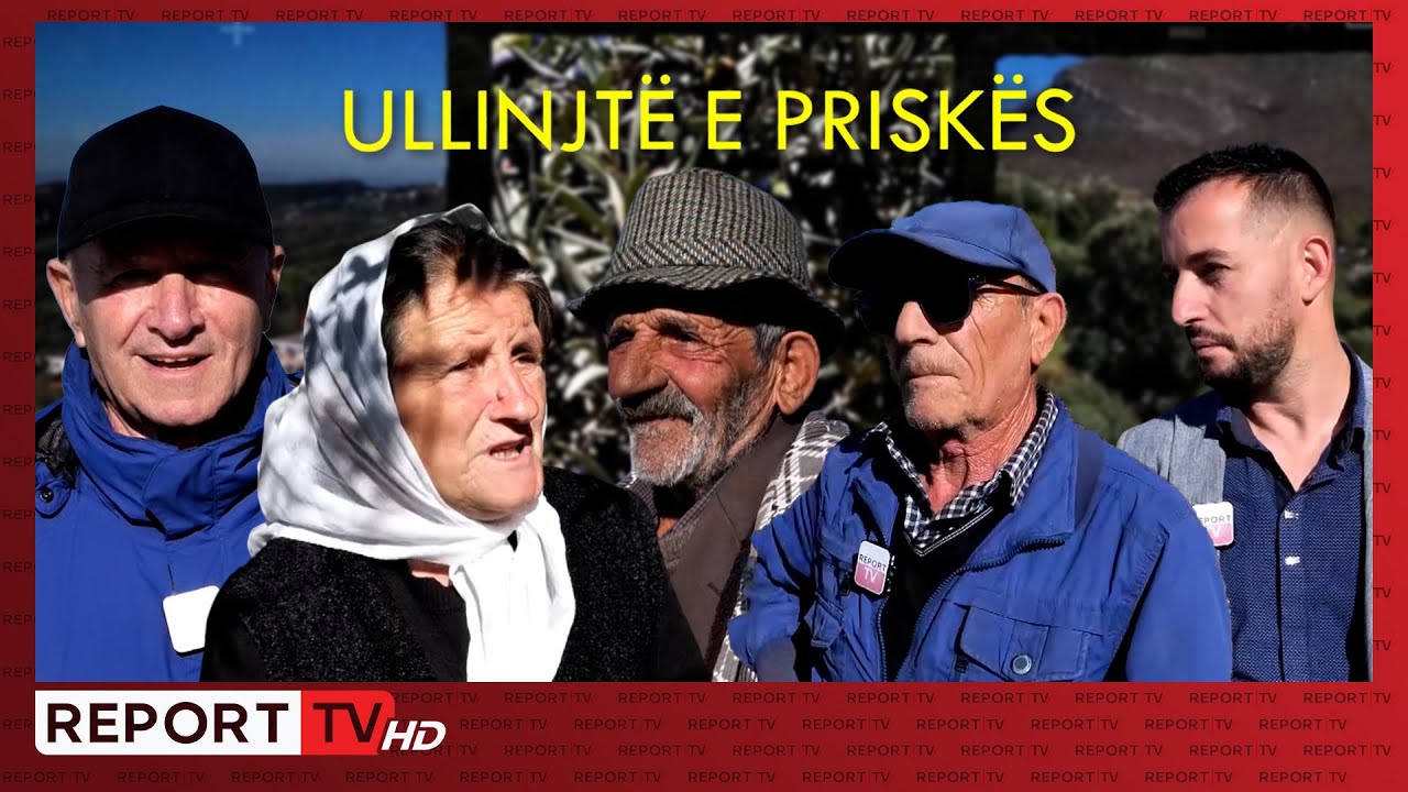 Priska mijëravjeçare zbardh SEKRETET e ullinjve më të vjetër të Shqipërisë l Veri Jug