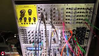 Roland TR808 FMing Doepfer A 111