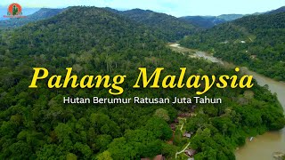 Mengunjungi SUKU Asli yang Mendiami Hutan Tertua Di DUNIA | Pahang Malaysia Part 2