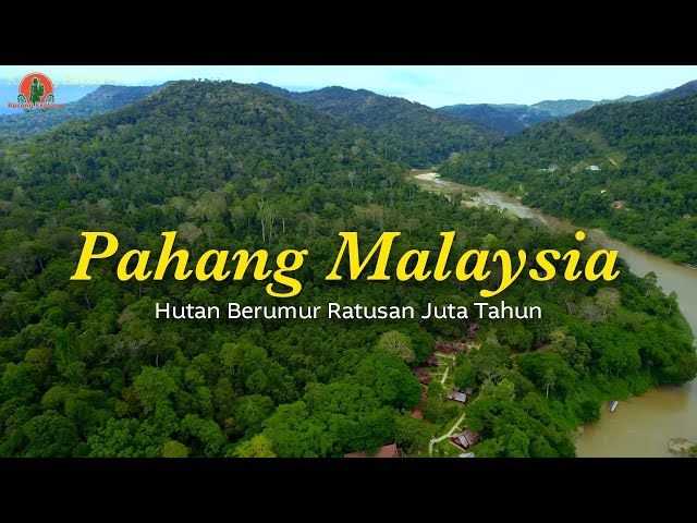 Mengunjungi SUKU Asli yang Mendiami Hutan Tertua Di DUNIA | Pahang Malaysia Part 2 class=