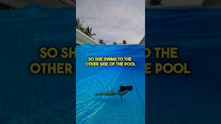 Girl Jumps In Pool And Swims Away