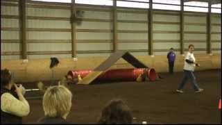 Halle Zap Open Regular 2 2014 03 29