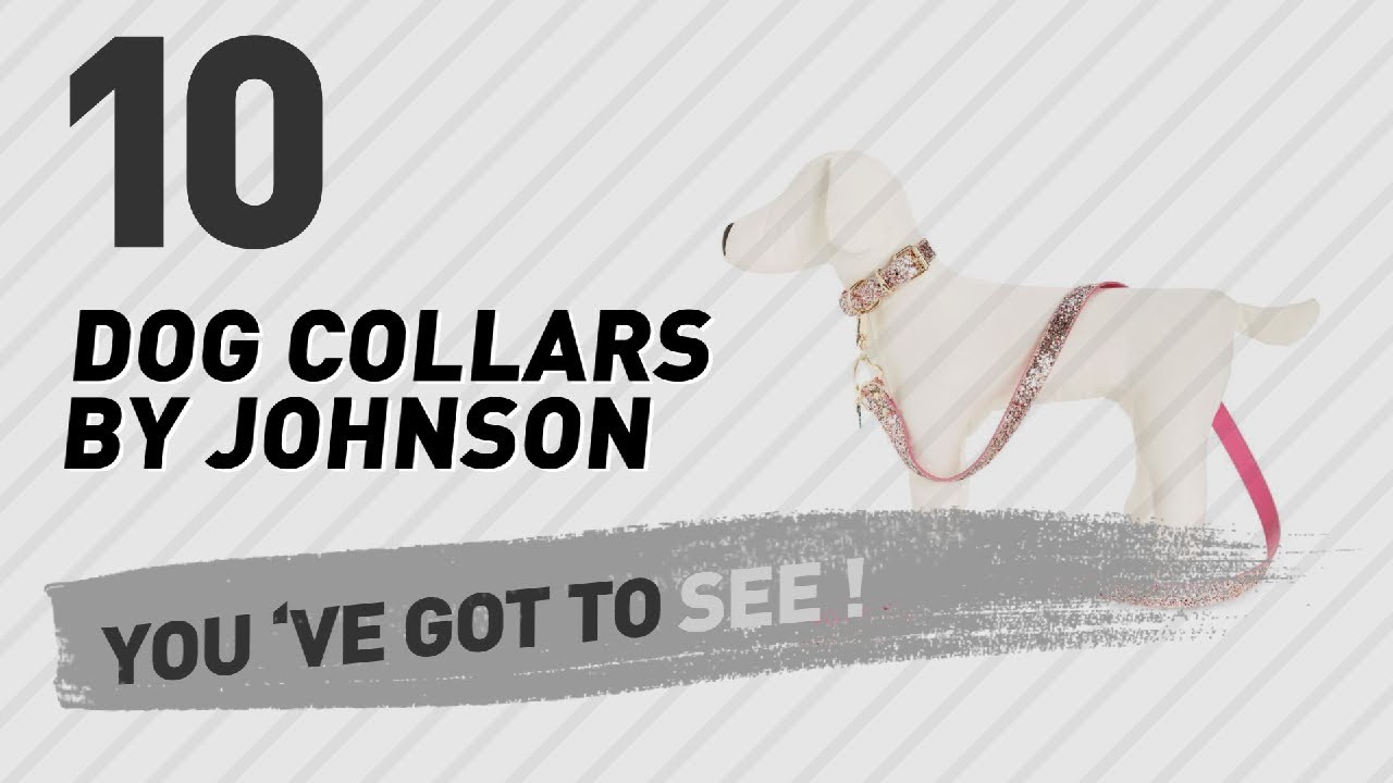 cats inn Dog Collars By Johnson // Top 10 Most Popular