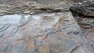 Water Flowing at Slate Lake - Abbey of Gethsemani - 3/3/2024