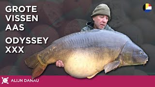 Alijn Danau's BIG FISH Bait Odyssey XXX! CC Moore Belenux TV Carp Fishing