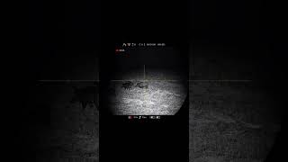 Hatsan Blitz 6.35 Pcp Hog Hunting #hunting #pcphunters #hunter