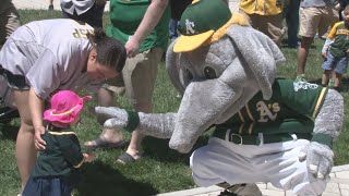 A's fans rally at Capitol for stadium relocation to Oakland's Jack London Waterfront