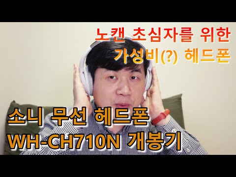 소니 무선 헤드폰 WH-CH710N 개봉기 - 노이즈 캔슬링 초심자를 위한 가성비(?) 헤드폰