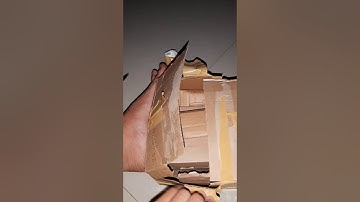 Mở hộp rùa common x flo | Unboxing common x flo turtle