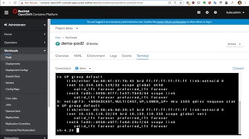 openshift 4.3 calico + multus