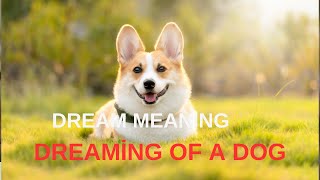 - Dream Meanings of a Dog - Seeing a Dog in a Dream (Dog Dreams)  dog animals