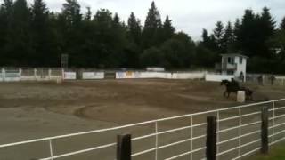 Xena Silver Spurs June 13, 2012