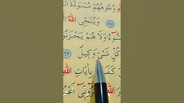 سورة الزمر الأية 61 إلى 64 بصوت سعد الغامدي