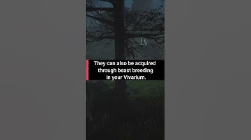 You Can Find Shiny Beasts in Hogwarts Legacy