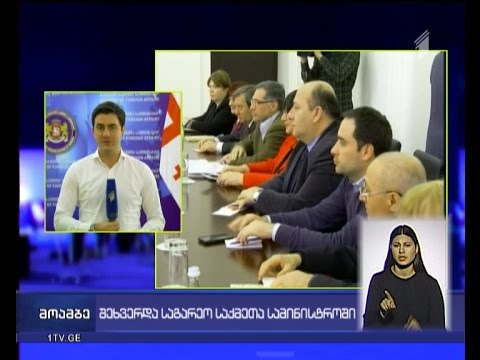 თამარ ბერუჩაშვილი არასამთავრობოებსა და ექსპერტებს შეხვდა