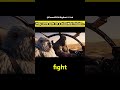 Bigfoot &amp; Yeti REFUSED to Fight! Desert Party with Yeti 🏜️😂 #shorts