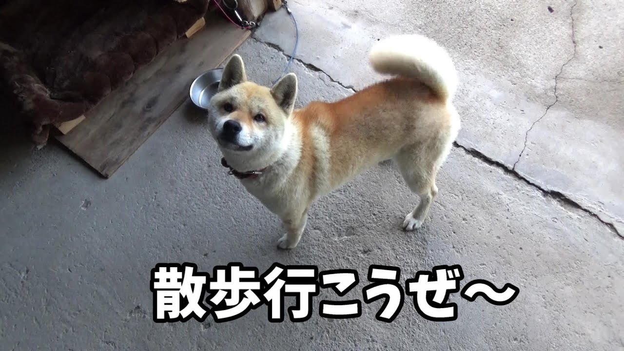 Search Youtube Channels Noxinfluencer