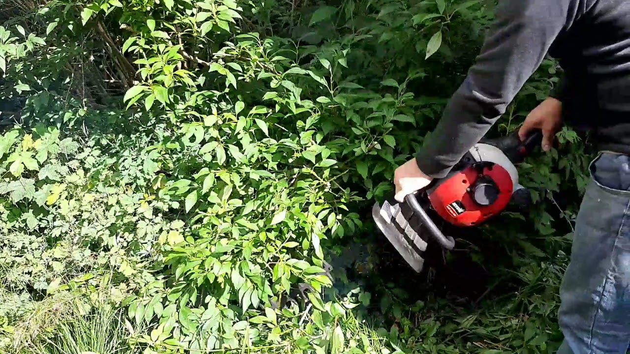 Petrol Hedge Trimmer MTD GHT 55 , Cutting the shrub!