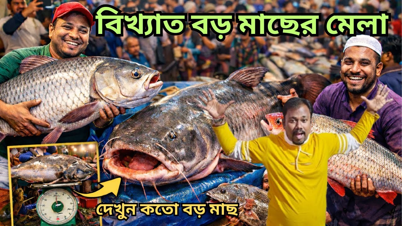 ভারতের সবচেয়ে বড় ৫০০ বছরের উপর ব্যান্ডেলে বিখ্যাত বড় বড় মাছের উত্তরায়ণ মেলা