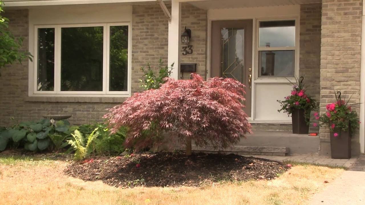 33 Farnham Cr. London, Ontario YouTube