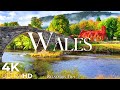 Wales uk  relaxation film  peaceful relaxing music  nature 4k ultra.