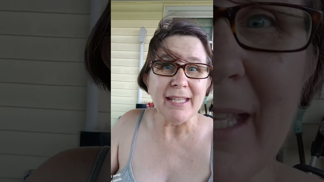 I am saving cucumber seeds for the seed swap