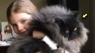 Девушка Спасла Крошечного, Тощего Котенка И Теперь Испытывает Трудности С Его Удержанием