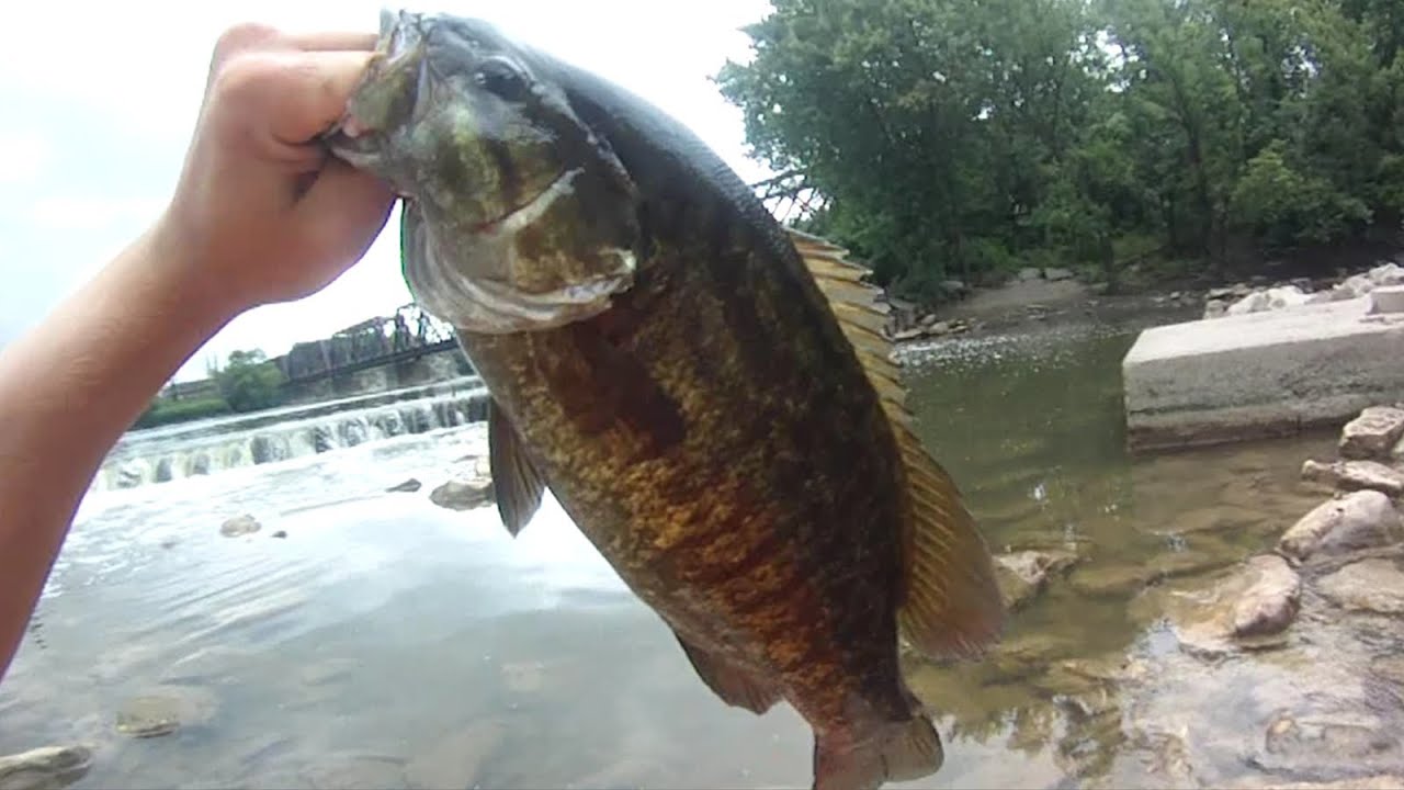 Lure Fishing 23 Twitching Bucktail and Tube Jigs for Big Smallmouth
