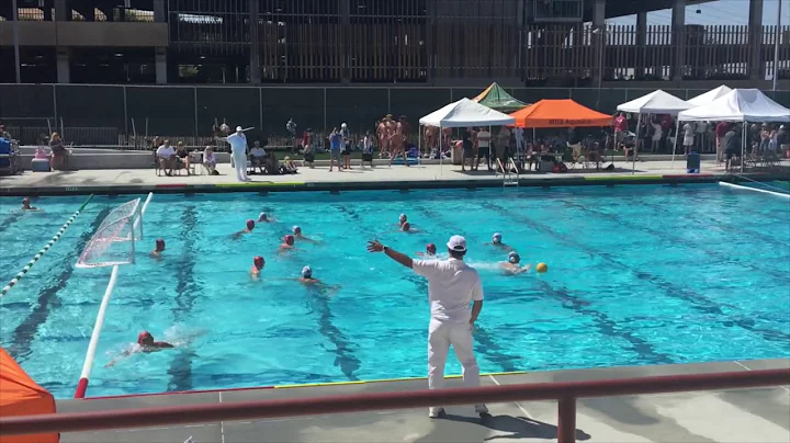 PETER LOOMIS WATER POLO VANGUARD