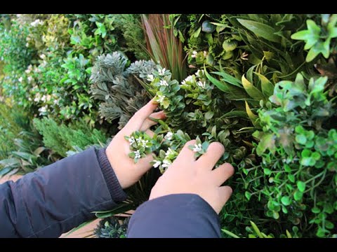 How to install an artificial green wall