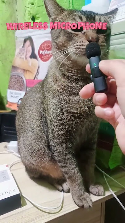 https://vt.tiktok.com/ZSrYU6aGv/