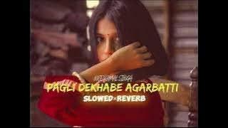 PAGLI DEKHABE AGARBATTI || SLOWED REVERB || @NeelkamalSingh