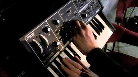 MOOG - THE ROGUE