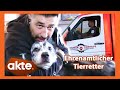 Hund rettet Herrchen vorm Tod - zum Dank ist Marcus heute als Tierretter im Einsatz | Akte | SAT.1