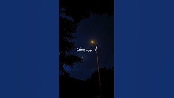 أكتب شيء تؤجر عليه ❤️ #تلاوة_خاشعة