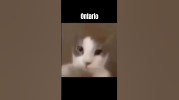 (Part 3) Snowrunner OST got me like: #snowrunner #ost #music #gotmelike