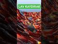 FRANKLIN LAV KAYDIRAGA BINDI - GTA 5 MODS #shorts