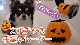 【かぎ針犬服】小型犬のハロウィン用かぼちゃ衣装をダイソーさんのアクリル毛糸で編んでみました
