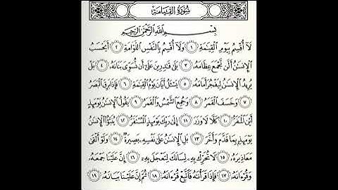 سورة القيامة القارئ صلاح باعثمان