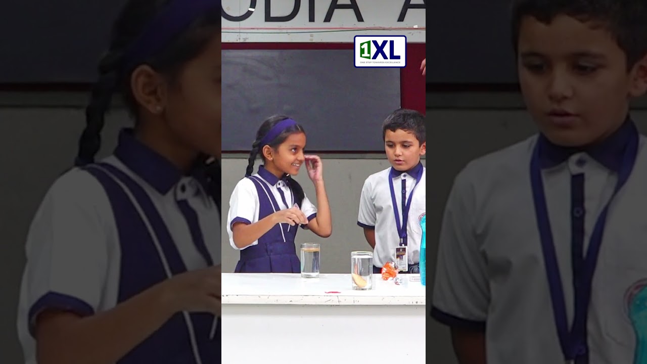 🍪 Can You Make a Biscuit FLOAT? | Fun Science Challenge with JIVIKA!