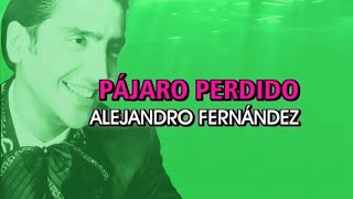 Versión 2 del video